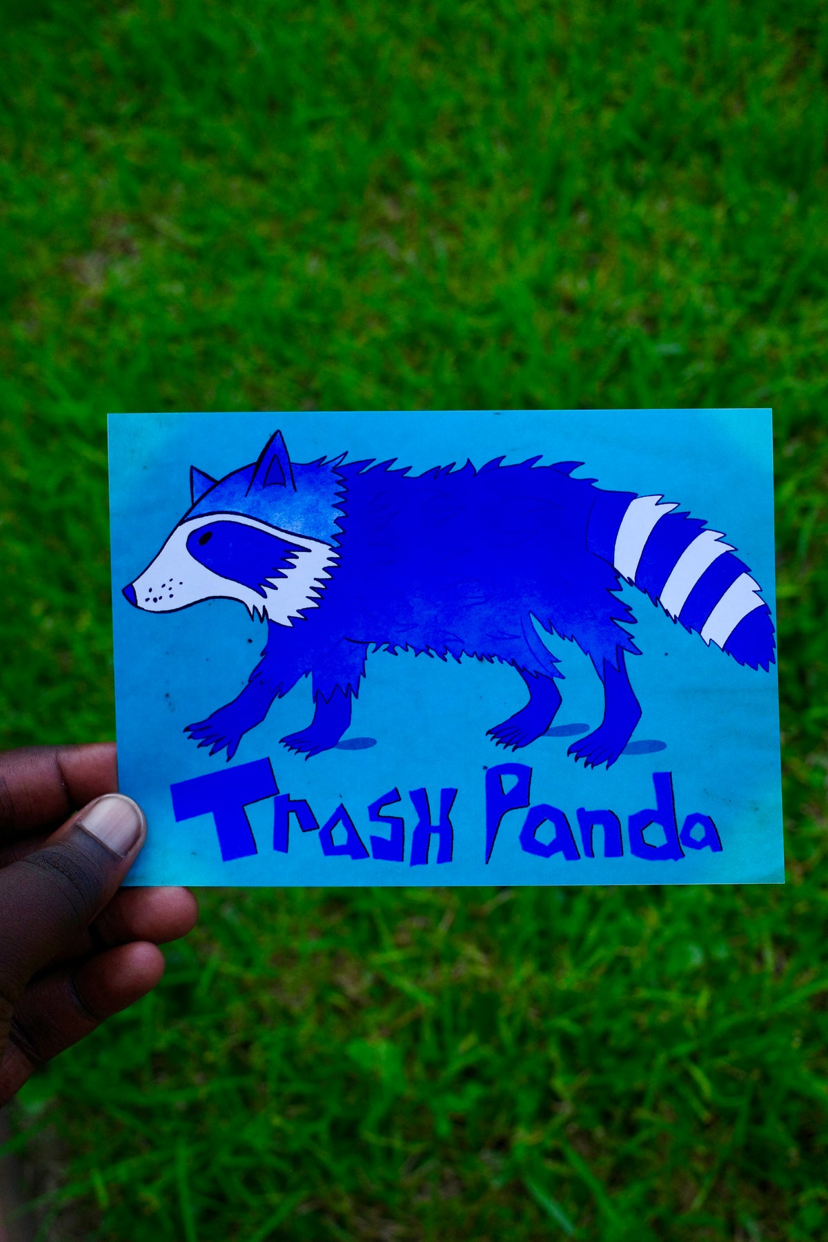 Trash Panda