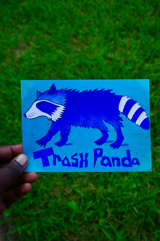 Trash Panda